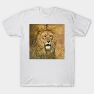 Lion Stalking Prey T-Shirt